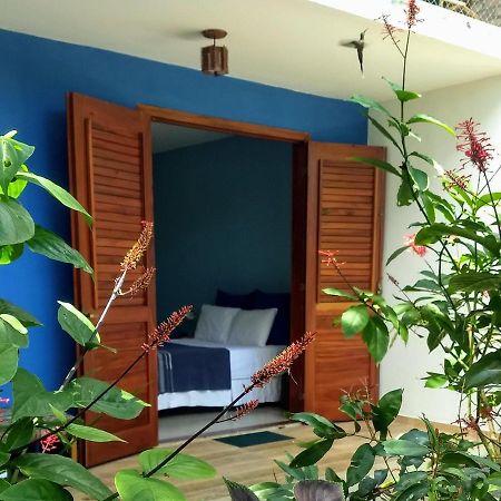 Casa Viva a Vida B&B Lencois Exterior foto